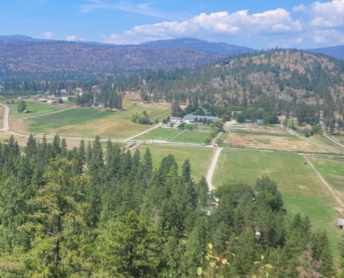 Is The Housing Market in Kelowna BC Starting to Stabilize