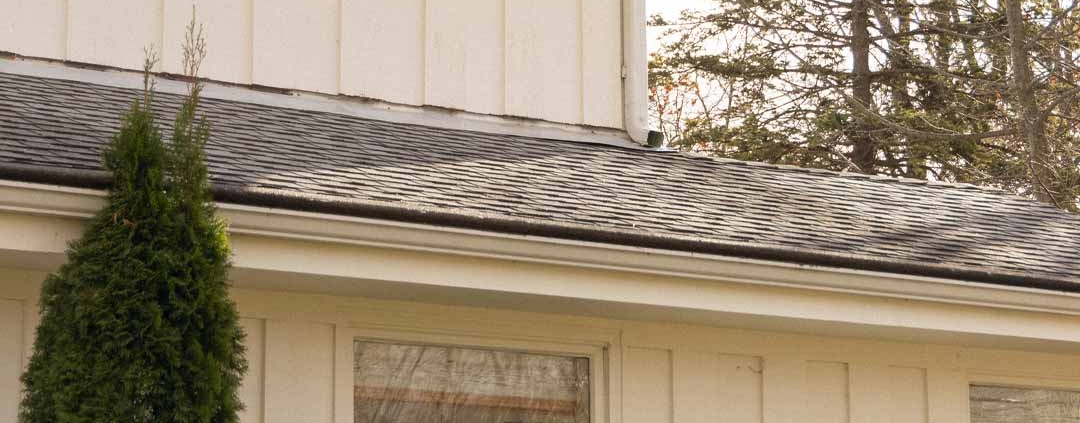 First-Time and Move-Up Buyers