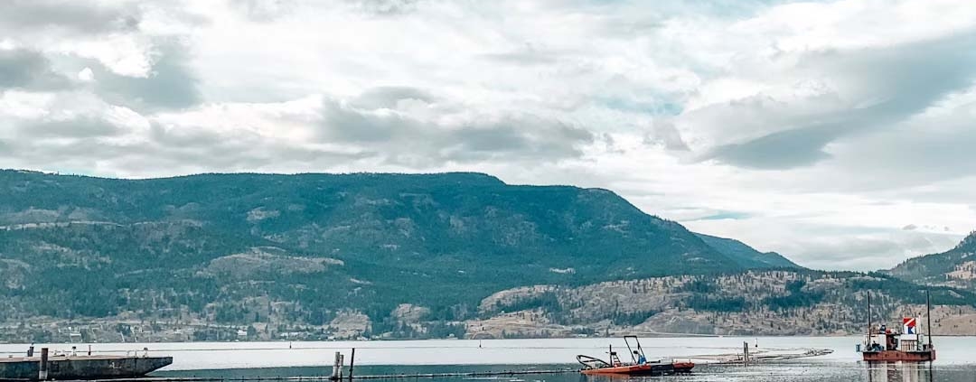 Buying a Condo in Kelowna Strata Fees Rules and Red Flags to Watch For
